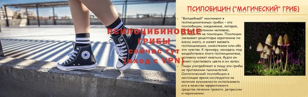 ALPHA PVP Баксан
