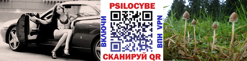 где купить   Советский  Галлюциногенные грибы MAGIC MUSHROOMS 